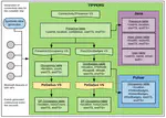 Transitioning from Testbeds to Ships: An Experience Study in Deploying the TIPPERS IoT Platform to the US Navy